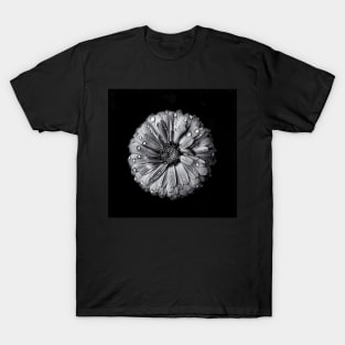 Backyard Flowers In Black And White 10 T-Shirt